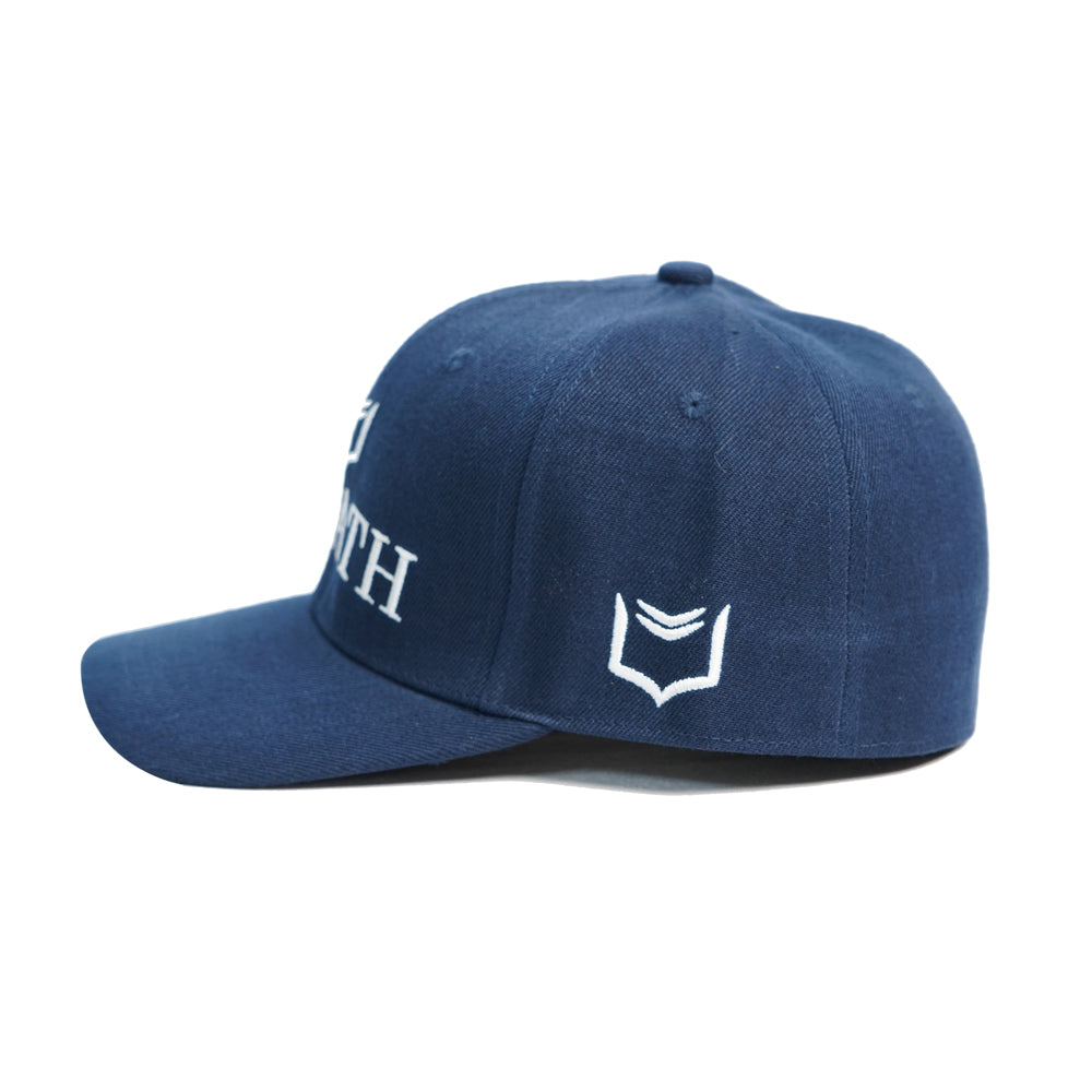 SHEATH FlexFit Hat - Blue